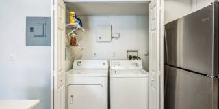 Boca Colony Gallery 18