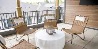 Novel Cary Gallery 26