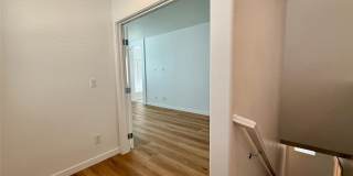 389 Wilford Springs Street Gallery 30
