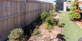 7710 Purple Vitex Gallery 44