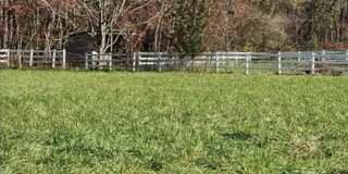 16400 CANDY HILL Road Gallery 6
