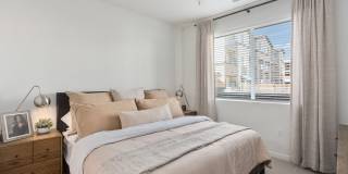 Prose Ascend Gallery 14