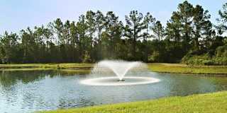 Brant Creek Gallery 19