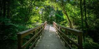 Stone Creek at Brookhaven Gallery 24