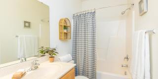 Willow Glen Gallery 35