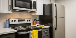 Glo Apartments Gallery 21