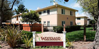 Woodland Park Gallery 20