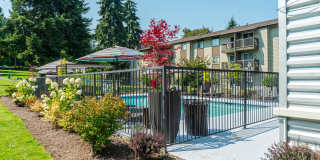 Terra Apartments Gallery 15