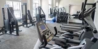 The Versailles Gallery 35