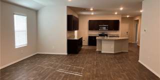 937 Armadillo Drive Gallery 7