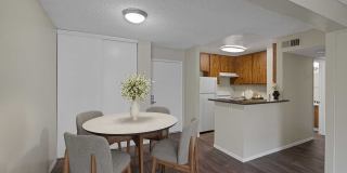 4200 Paradise Gallery 1