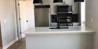 1046 W Cornelia Gallery 1