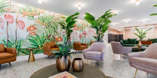 Soleste Spring Gardens Gallery 10