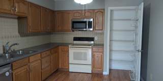 1408 Summertree Springs Avenue Gallery 7