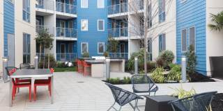 The Triton Gallery 17