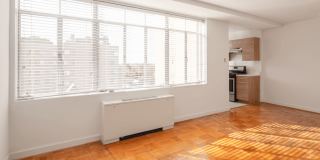 The Elaine Gallery 3