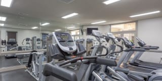 Treybrooke Apartments Gallery 35