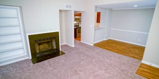 Hampton Center Gallery 15