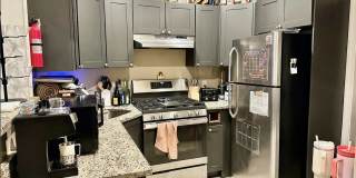 Exquisitely Renovated 4Bed Near BU and Longwood. Heat/HW incl; move-in cost rebate available Gallery 8