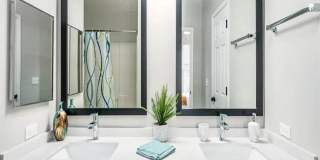 Elevate on Main Gallery 6