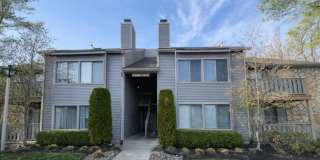 1909 THE WOODS II Gallery 1