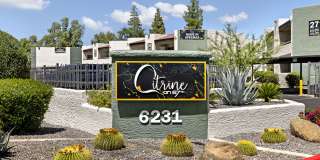 Citrine on 67th Gallery 18