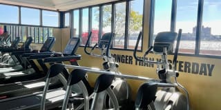 Mariners Landing Gallery 60