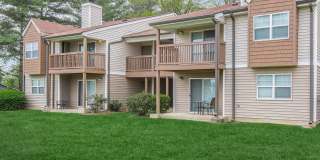 Sussex Downs Gallery 68