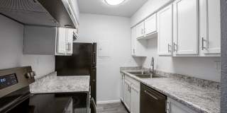 Icon on Pima Gallery 5