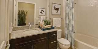 AMLI Evanston Gallery 6