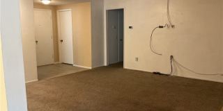 6585 Shannon Gallery 24