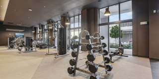 Avida Aventura Gallery 22