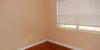 Walk to FSU! 4/2 w/ 2 Living Spaces, Wood Floors, Large Yard, & Washer/Dryer! Avail Aug 6th for $1825/month! Gallery 17