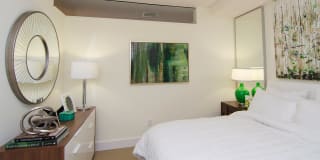 Lex and Leo at Waterfront Station Gallery 19