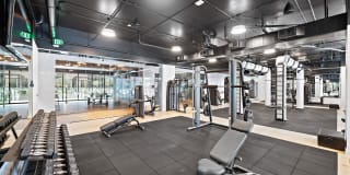 Forth at Navigation Gallery 8