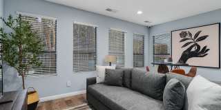 The Forest Gallery 10