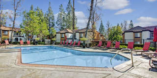 Castlepark Gallery 19