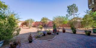 Oversized Lot + Dual Garages! 3 Bed + Den in Mountain Vista Gallery 38