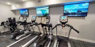 Student Housing - Luxe Belle Gallery 17