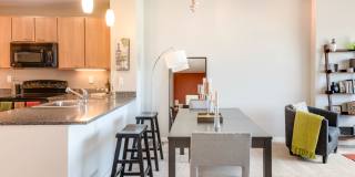 The Grand Gallery 19