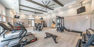 Camellia World Commerce Center Gallery 25