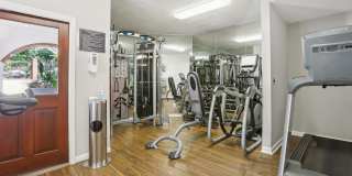 Virginia Highlands Gallery 19