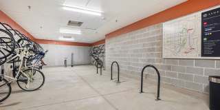 The Ayden Gallery 32