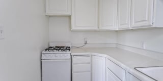 ReNew on Temple ReNew on Temple Gallery 14