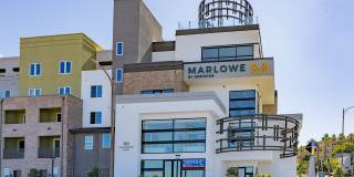 Marlowe Palomar Heights Gallery 42