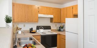 Western Terrace Gallery 15