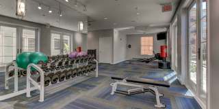 The Saulet Gallery 23