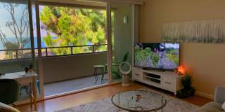 Los Arboles Apartments Gallery 26