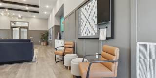 Avida Gallery 16