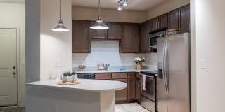 Terra Mar Gallery 41